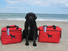 Load image into Gallery viewer, Midnight Express