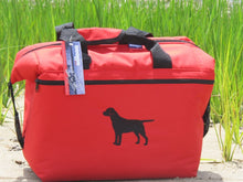 Load image into Gallery viewer, Midnight Express